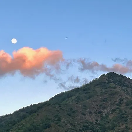 Balkoni * Moutoullas