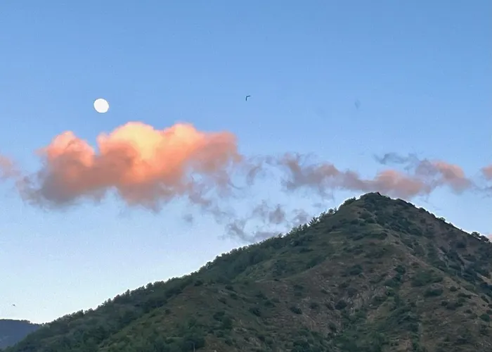 Balkoni * Moutoullas