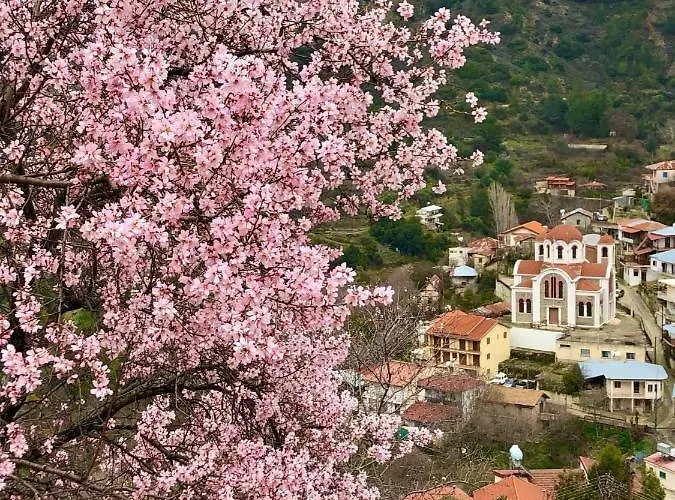 Balkoni Μουτουλλάς
